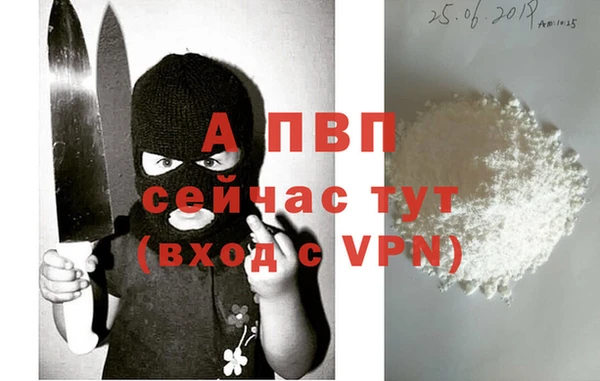 ПСИЛОЦИБИНОВЫЕ ГРИБЫ Михайловск