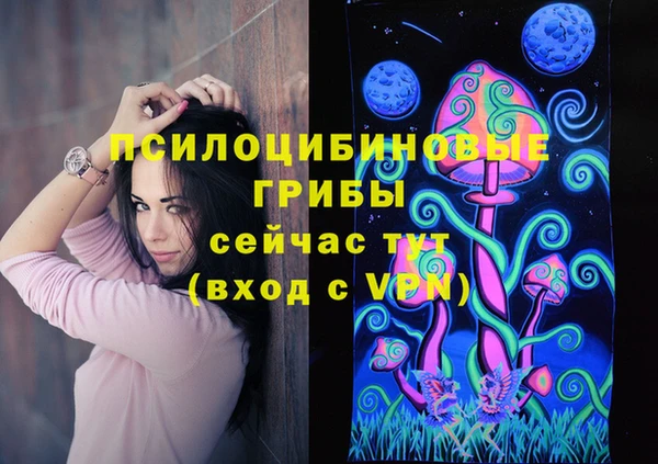 ПСИЛОЦИБИНОВЫЕ ГРИБЫ Михайловск